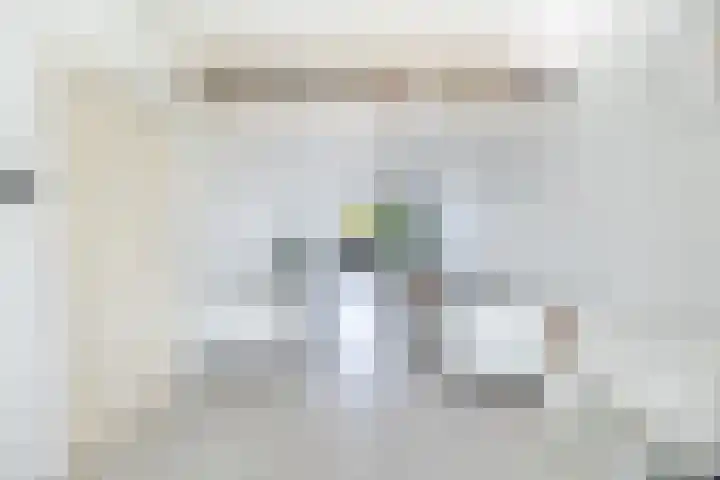 van de Wateringelaan 213 Voorburg thumbnail 7