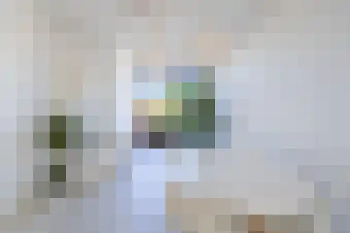 van de Wateringelaan 213 Voorburg thumbnail 8