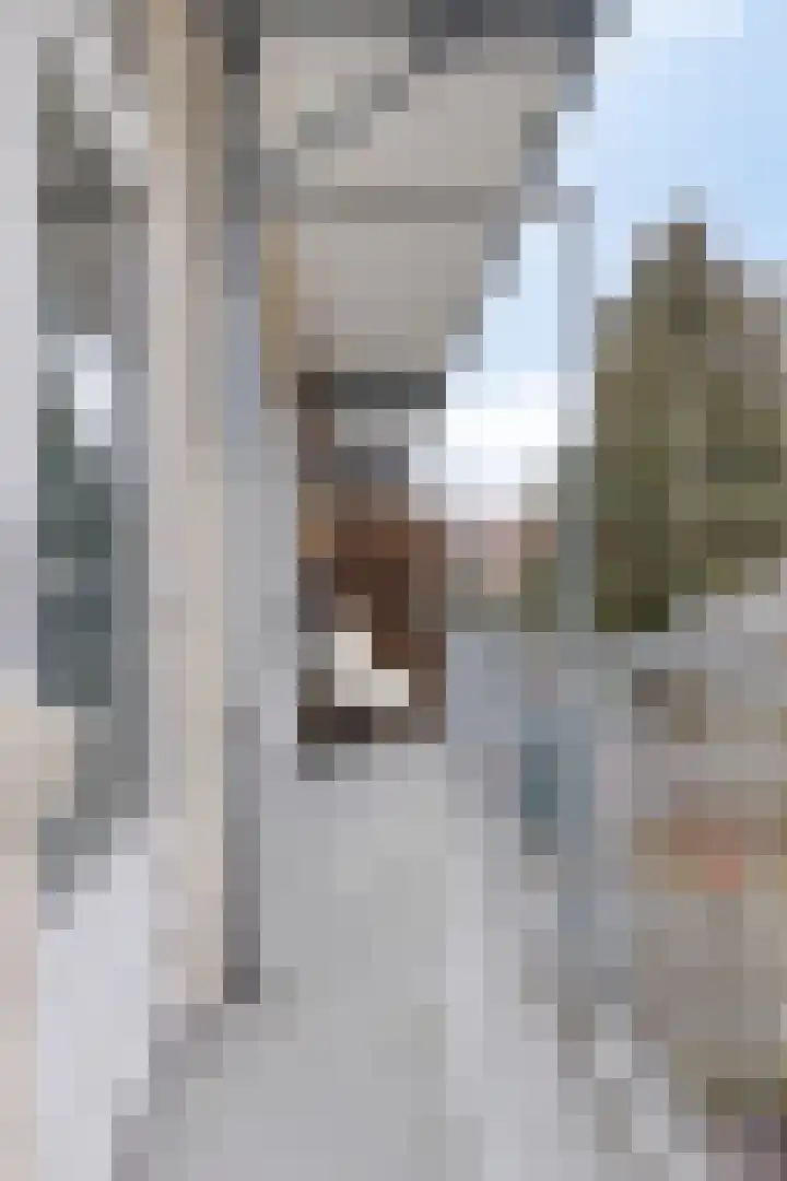 van de Wateringelaan 214 Voorburg thumbnail 4
