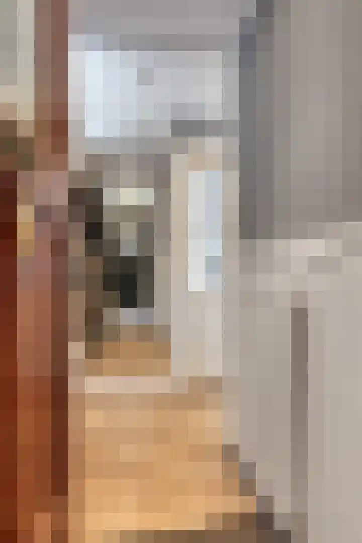 van de Wateringelaan 214 Voorburg thumbnail 6