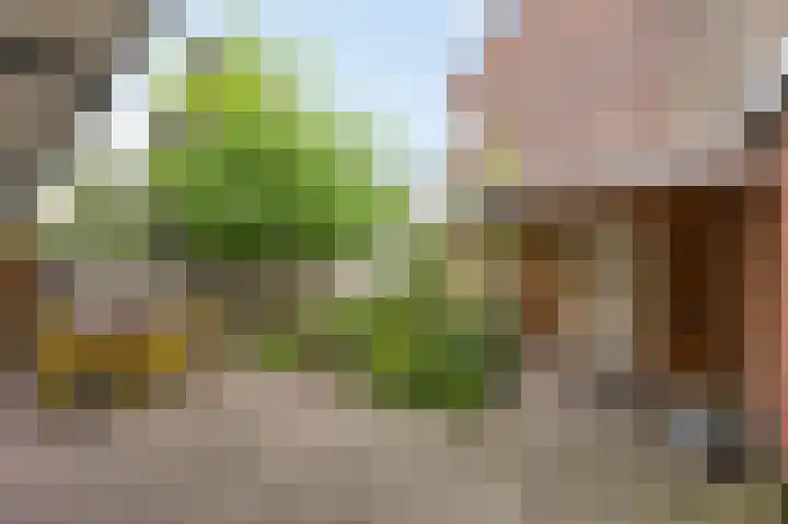 van de Wateringelaan 216 Voorburg thumbnail 20