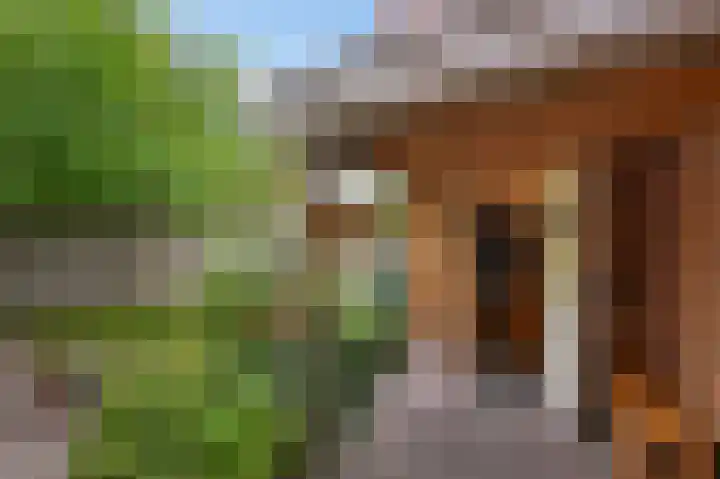 van de Wateringelaan 216 Voorburg thumbnail 23