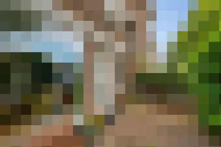 van de Wateringelaan 216 Voorburg thumbnail 5