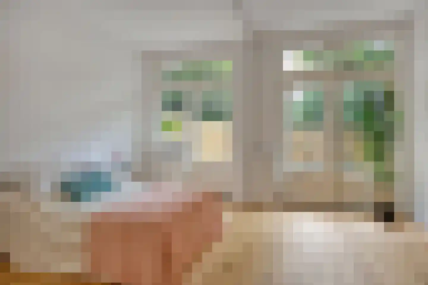 van de Wateringelaan 266 Voorburg thumbnail 17