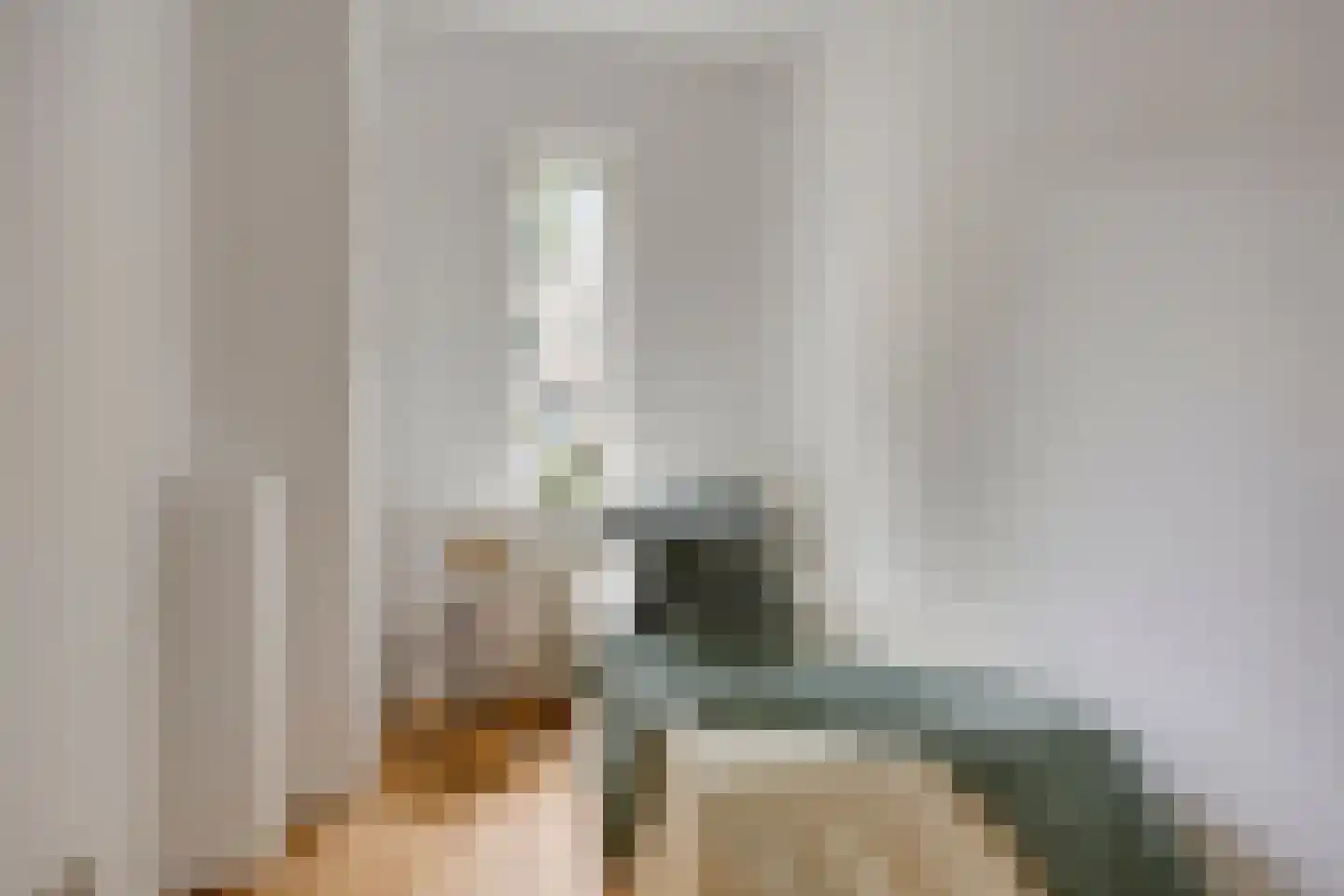 van de Wateringelaan 266 Voorburg thumbnail 19