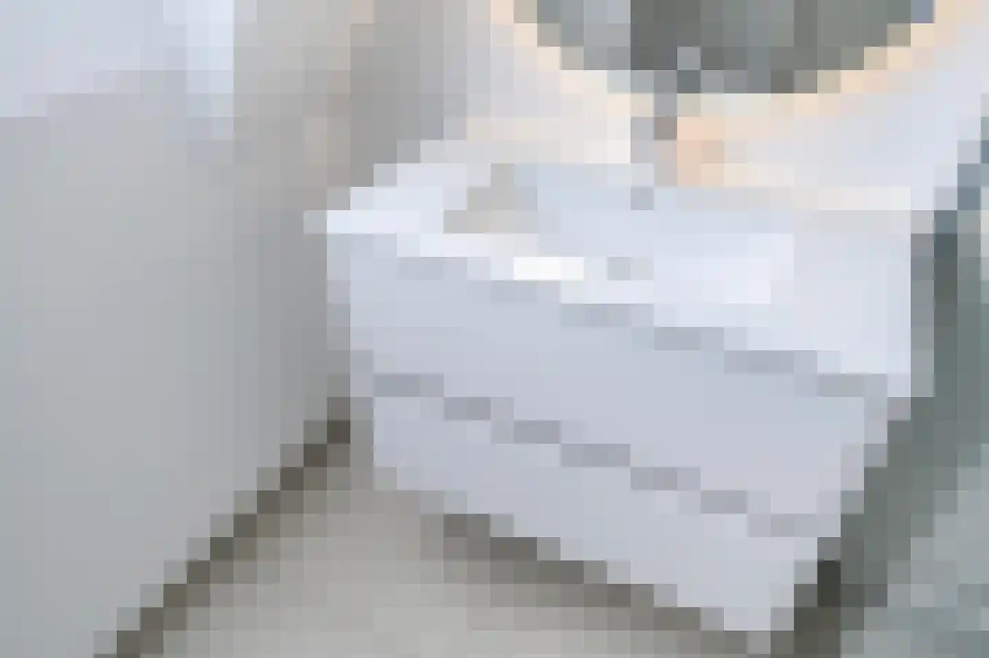 van de Wateringelaan 272 Voorburg thumbnail 33