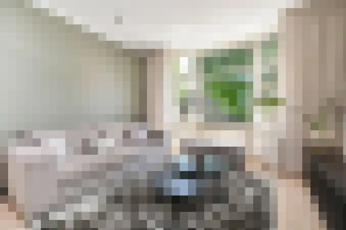 van de Wateringelaan 35 Voorburg thumbnail 10