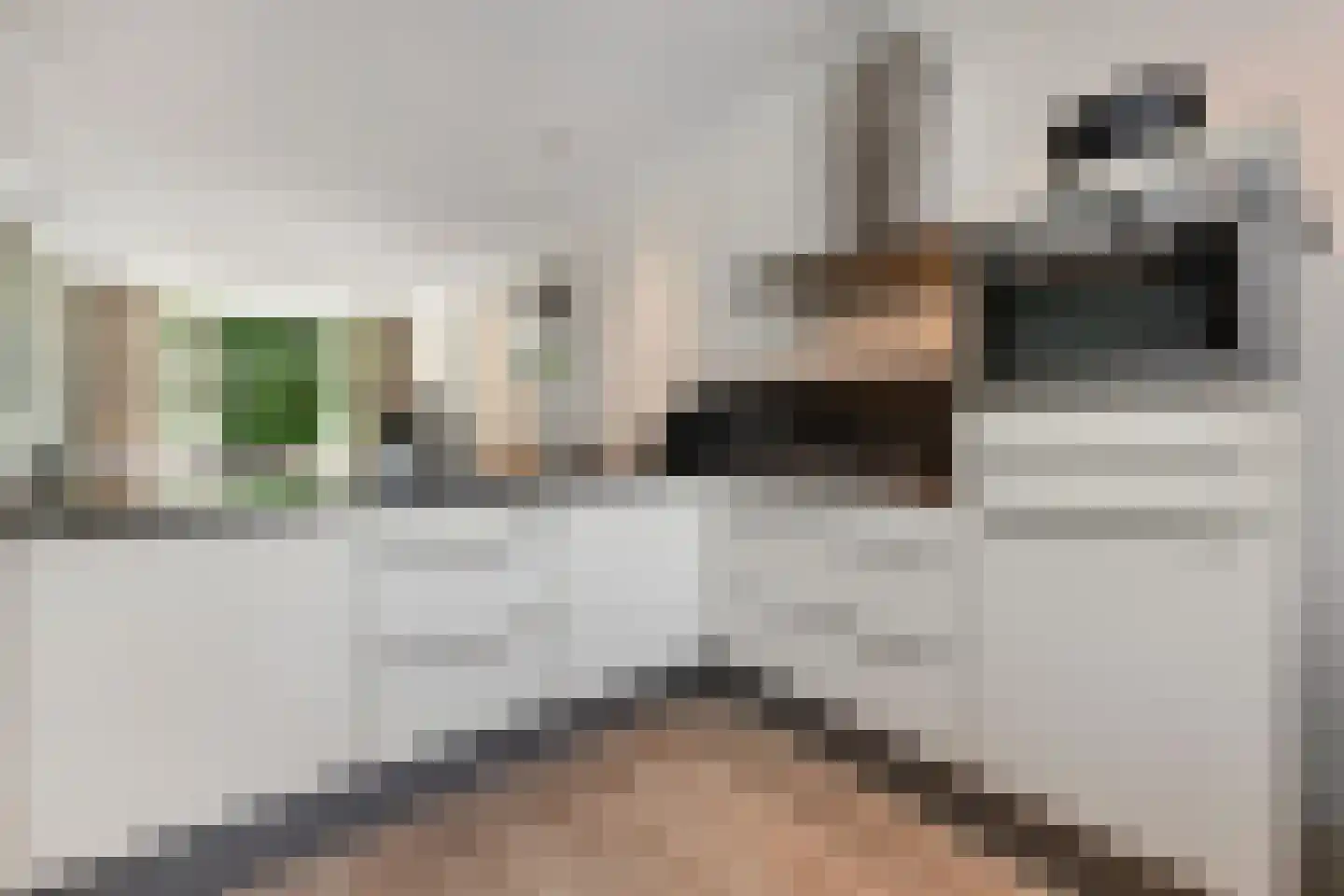 van de Wateringelaan 35 Voorburg thumbnail 13