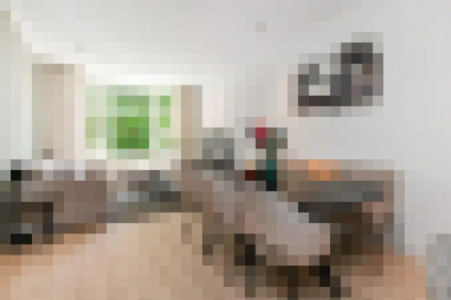 van de Wateringelaan 35 Voorburg thumbnail 8