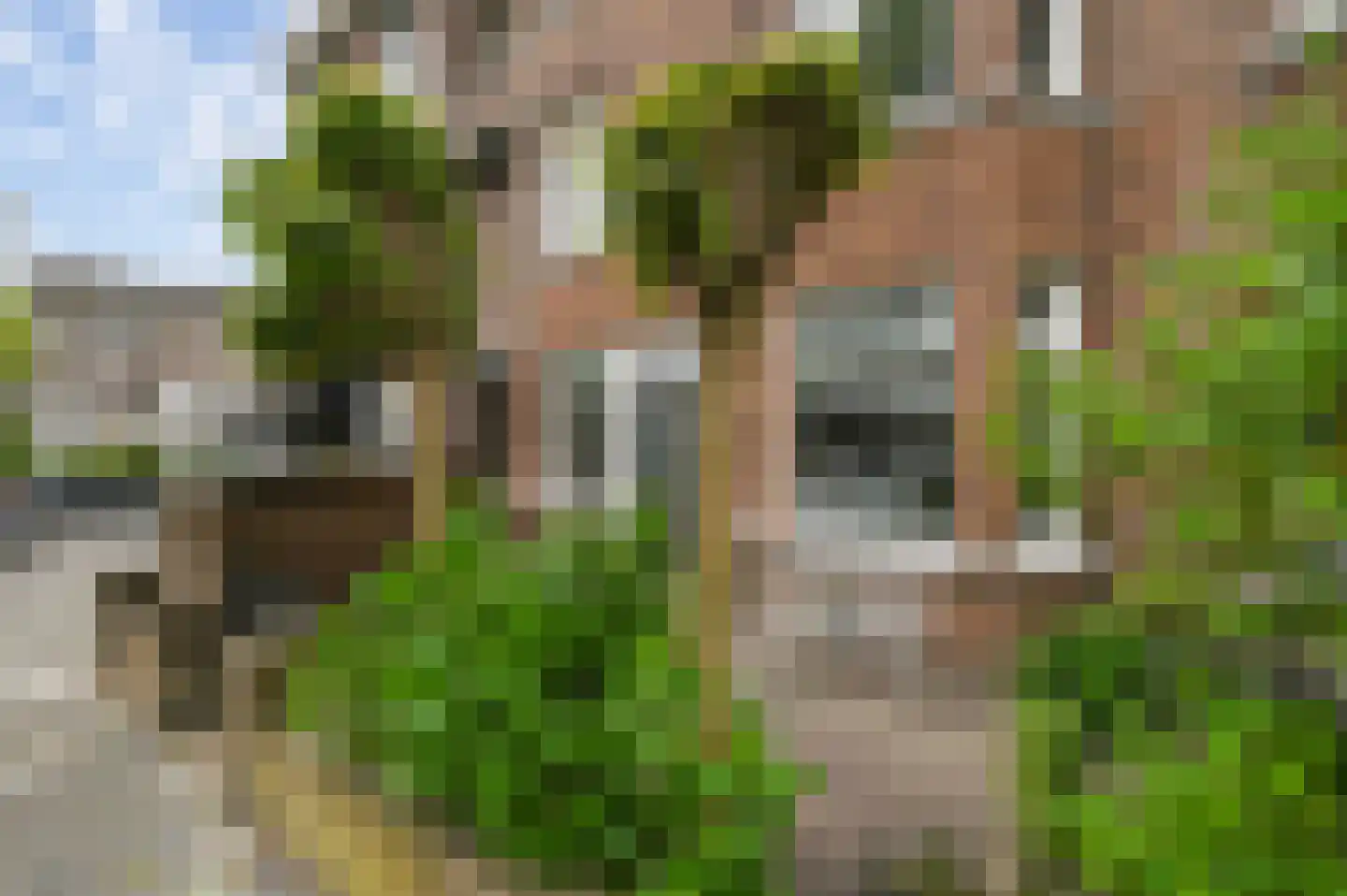 van de Wateringelaan 79 en Voorburg