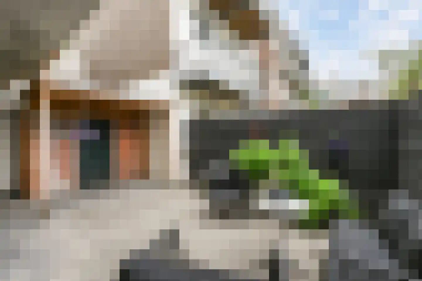 van de Wateringelaan 79 Voorburg thumbnail 18