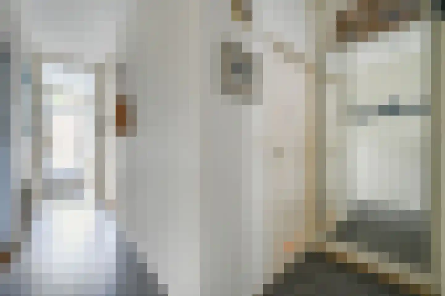 van de Wateringelaan 79 Voorburg thumbnail 31