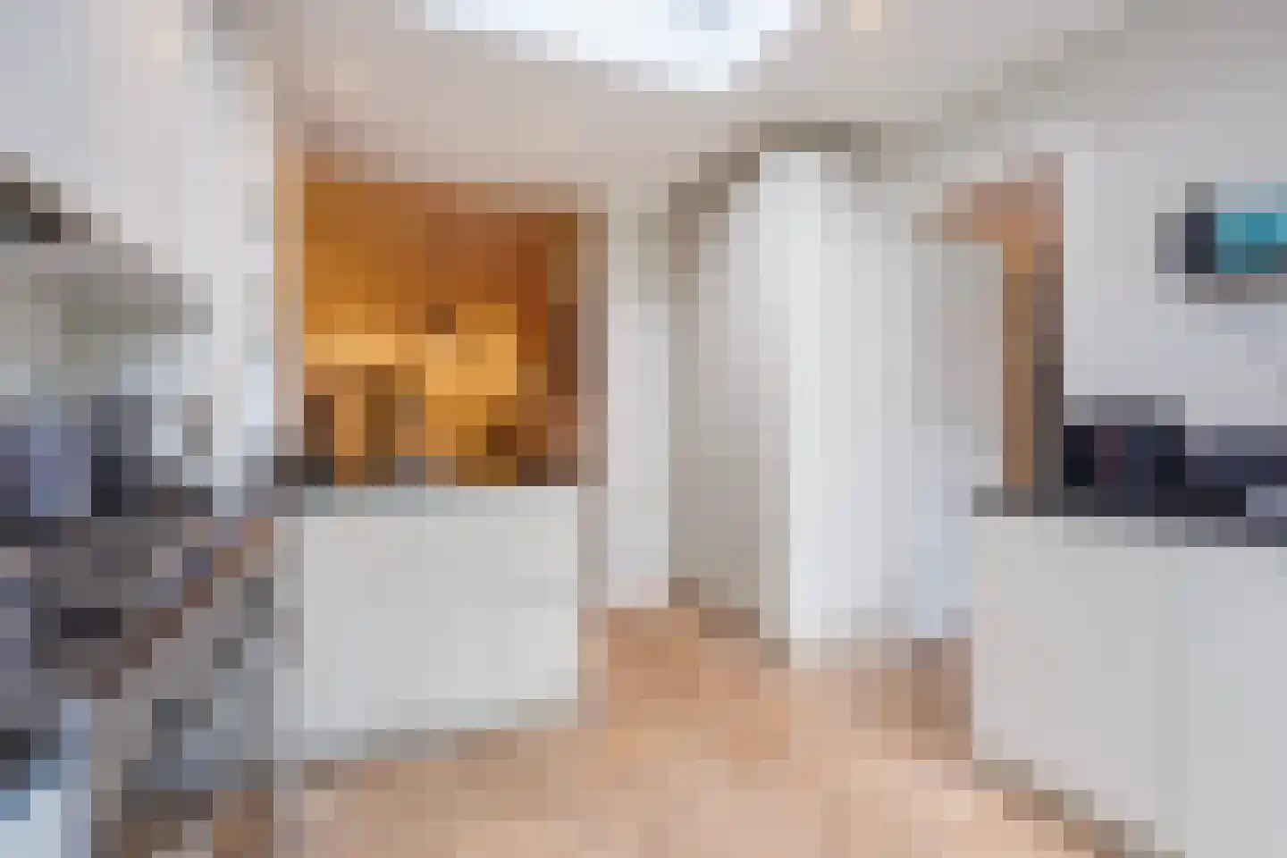 van de Wateringelaan 96 Voorburg thumbnail 19