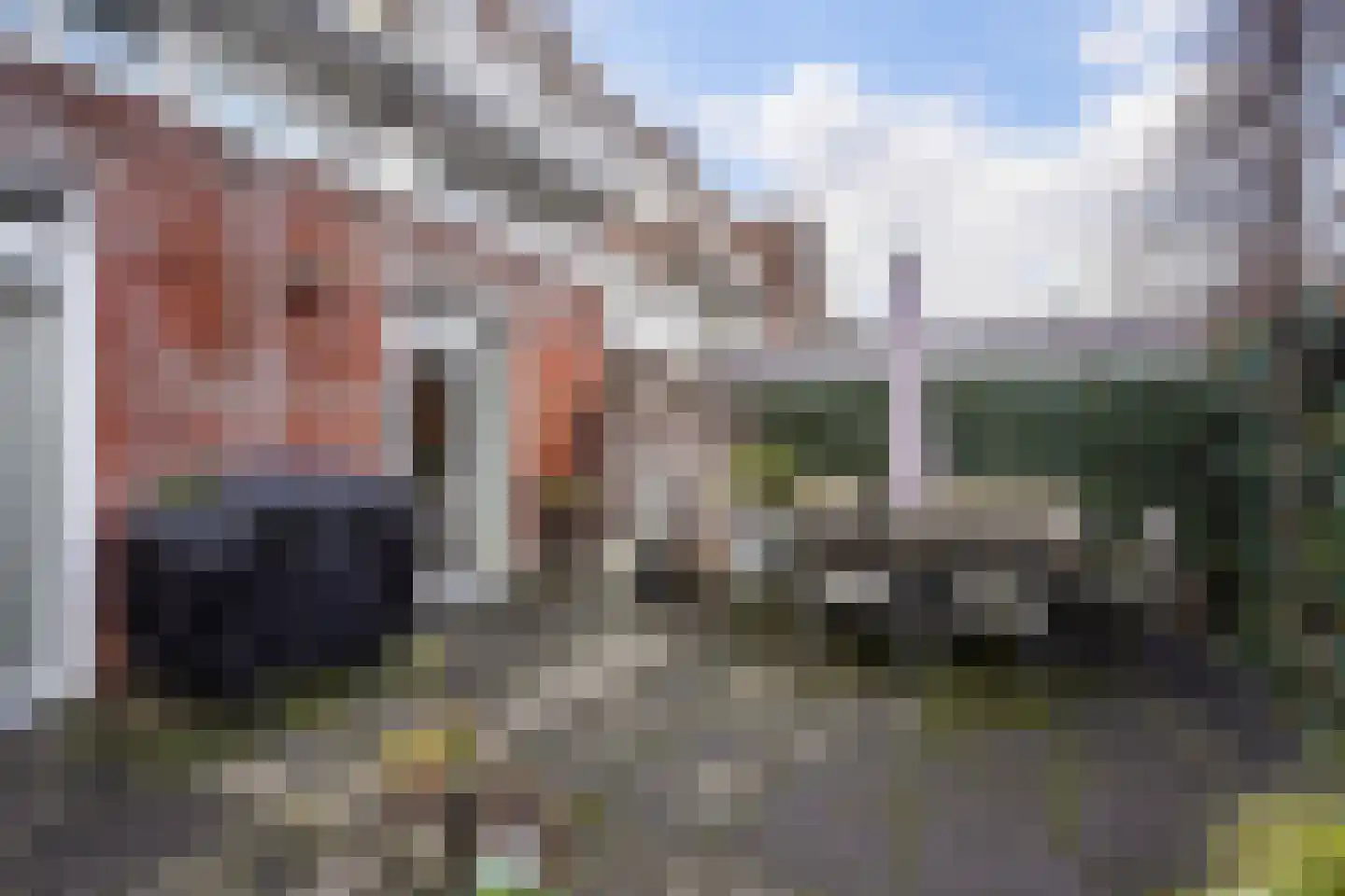 van de Wateringelaan 96 Voorburg thumbnail 26