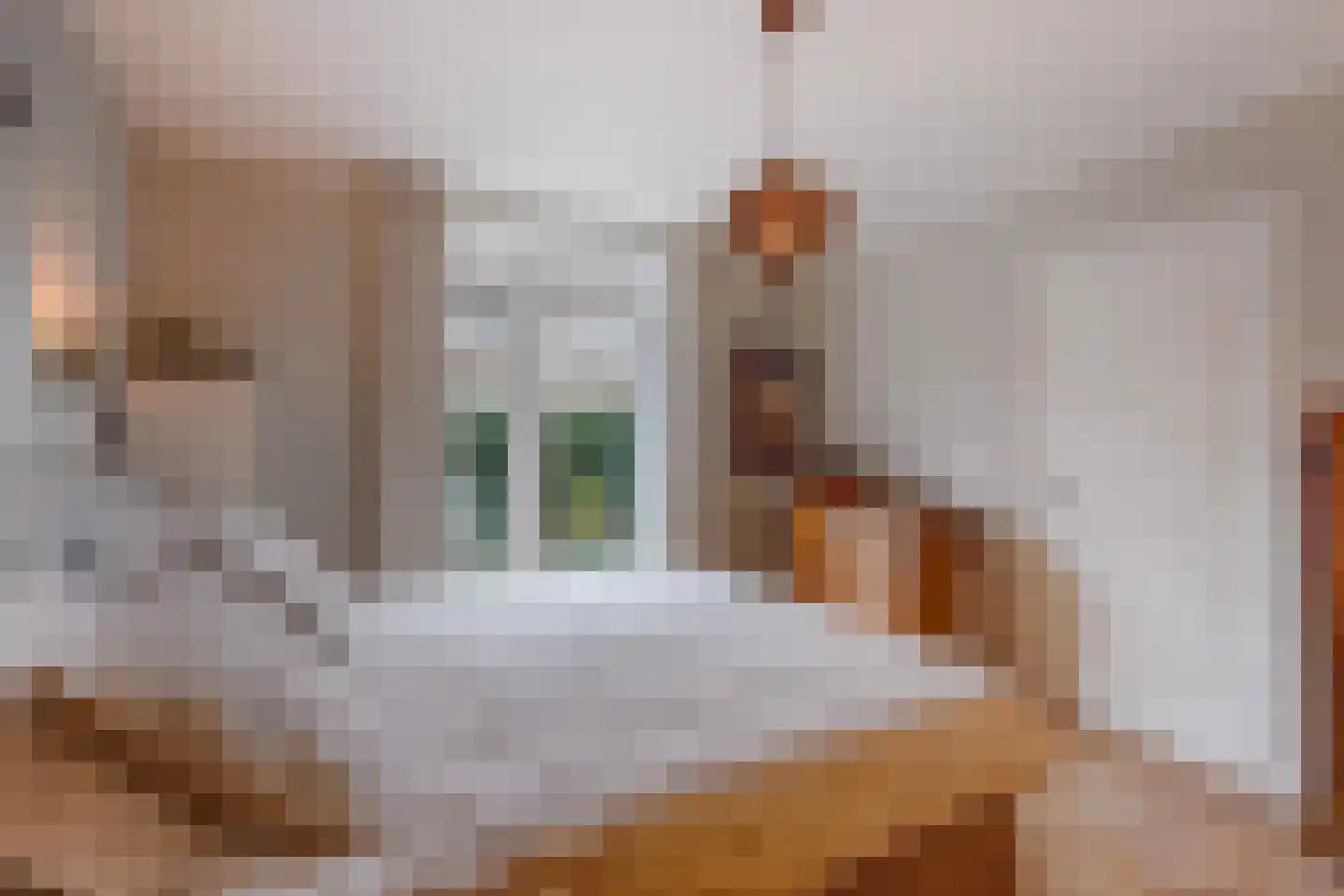 van de Wateringelaan 96 Voorburg thumbnail 27