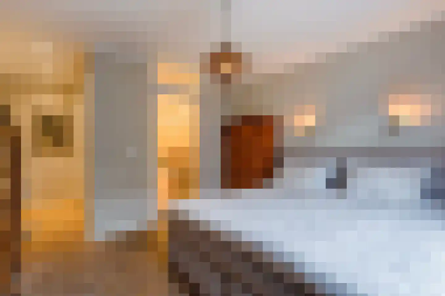 van de Wateringelaan 96 Voorburg thumbnail 29