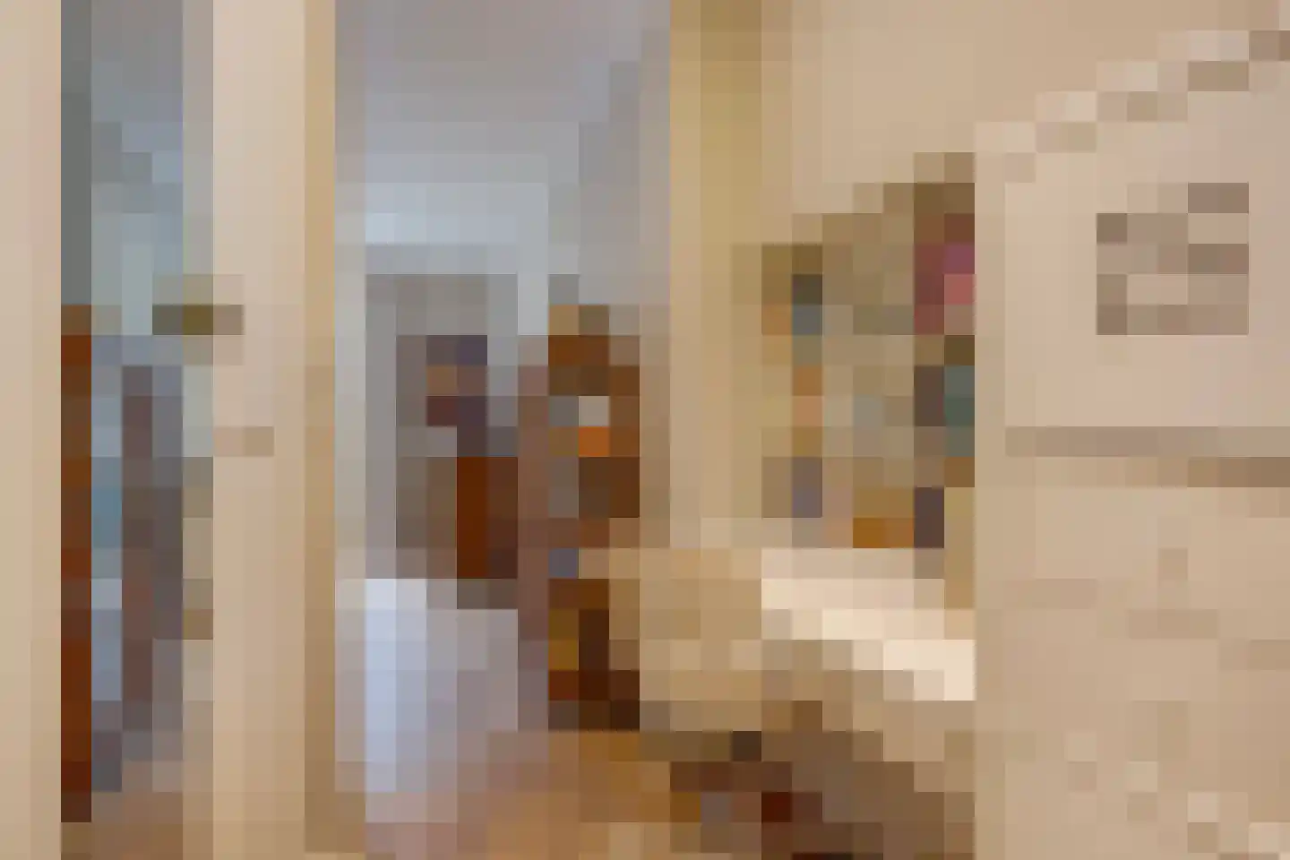van de Wateringelaan 96 Voorburg thumbnail 31