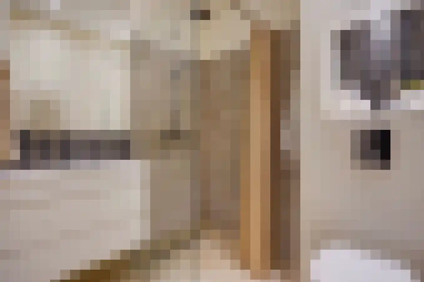 van de Wateringelaan 96 Voorburg thumbnail 32
