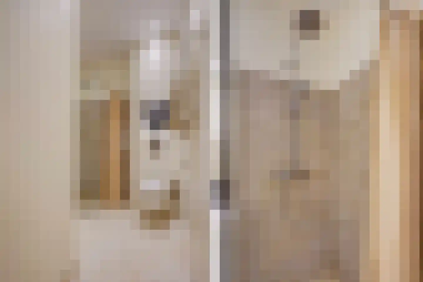 van de Wateringelaan 96 Voorburg thumbnail 33
