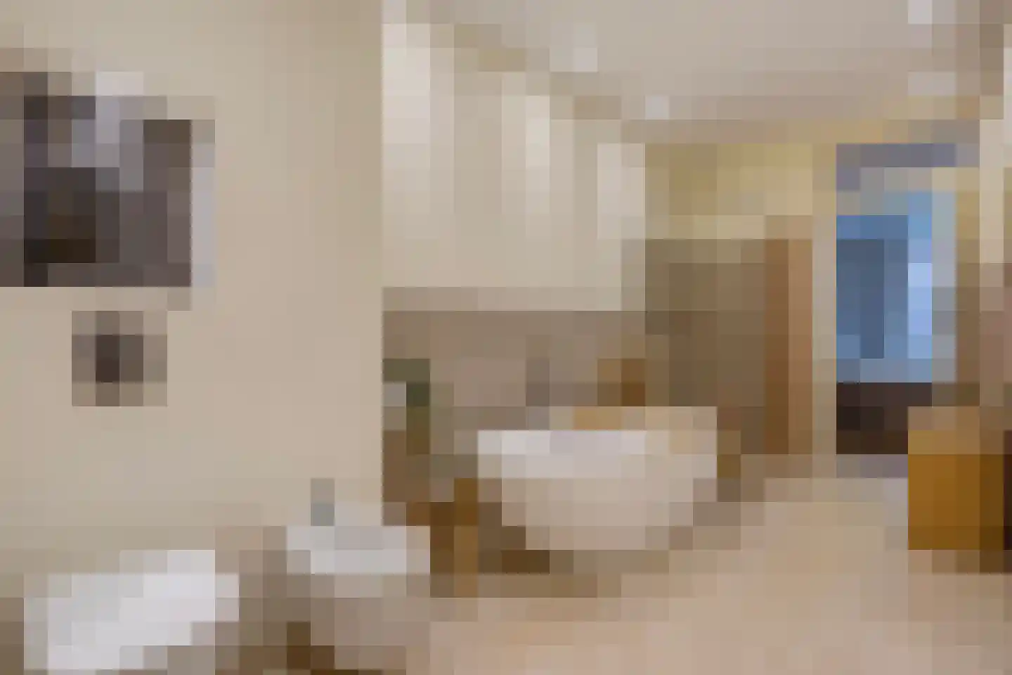 van de Wateringelaan 96 Voorburg thumbnail 34