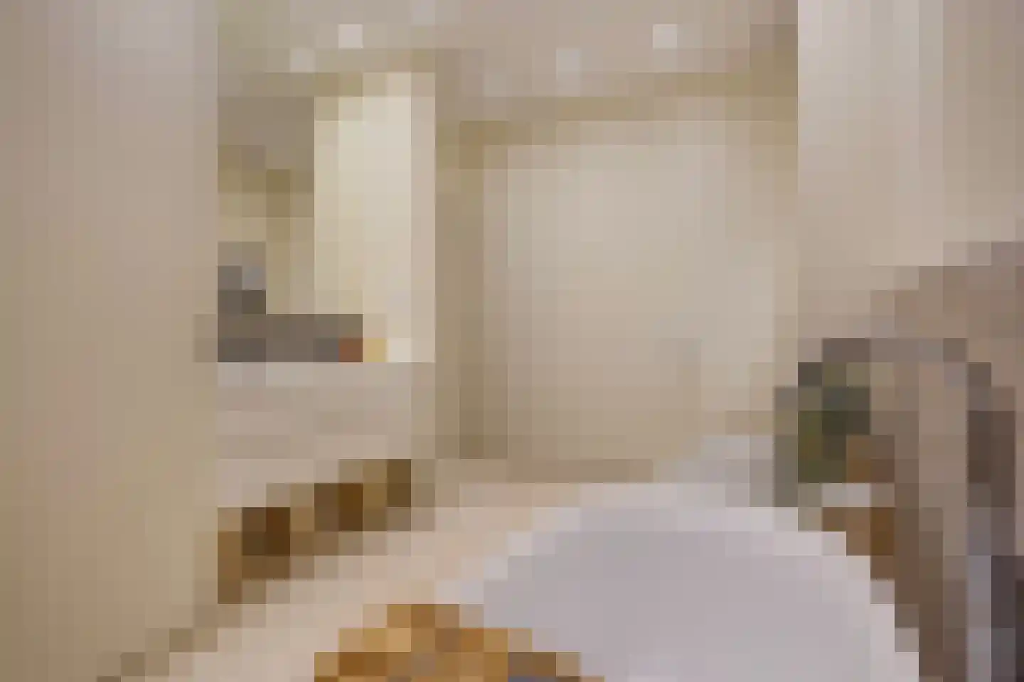 van de Wateringelaan 96 Voorburg thumbnail 36
