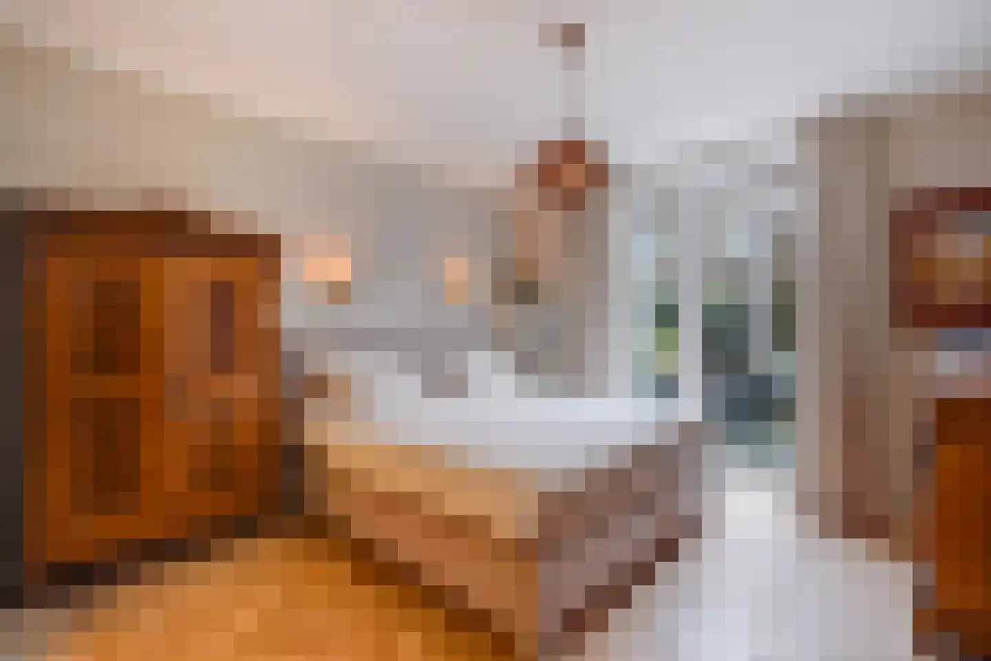 van de Wateringelaan 96 Voorburg thumbnail 4