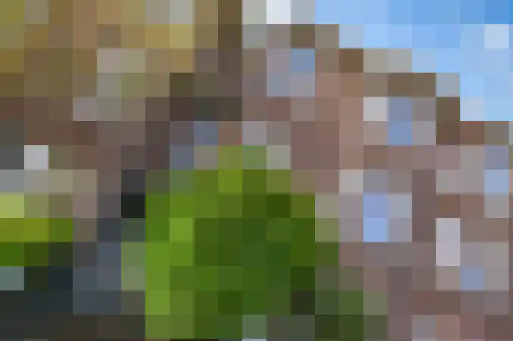 van de Wateringelaan 99 Voorburg thumbnail 41