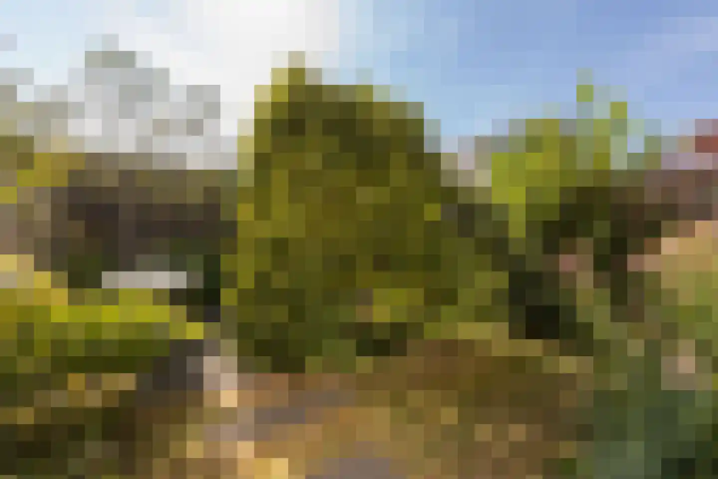 Van de Weerdstraat 120 Wageningen thumbnail 30