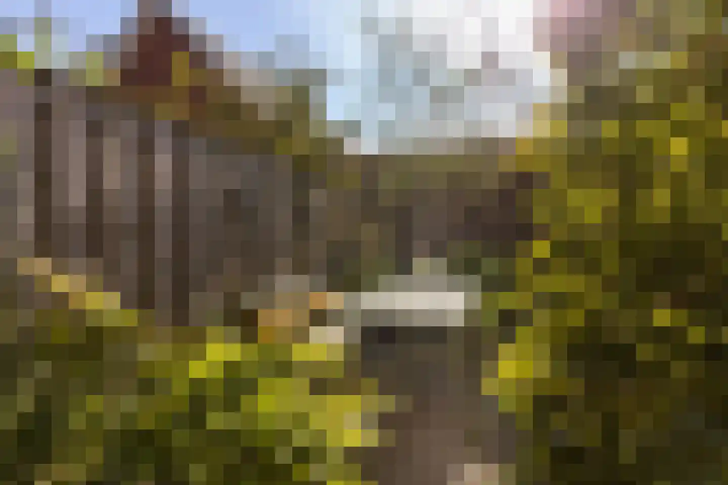 Van de Weerdstraat 120 Wageningen thumbnail 31