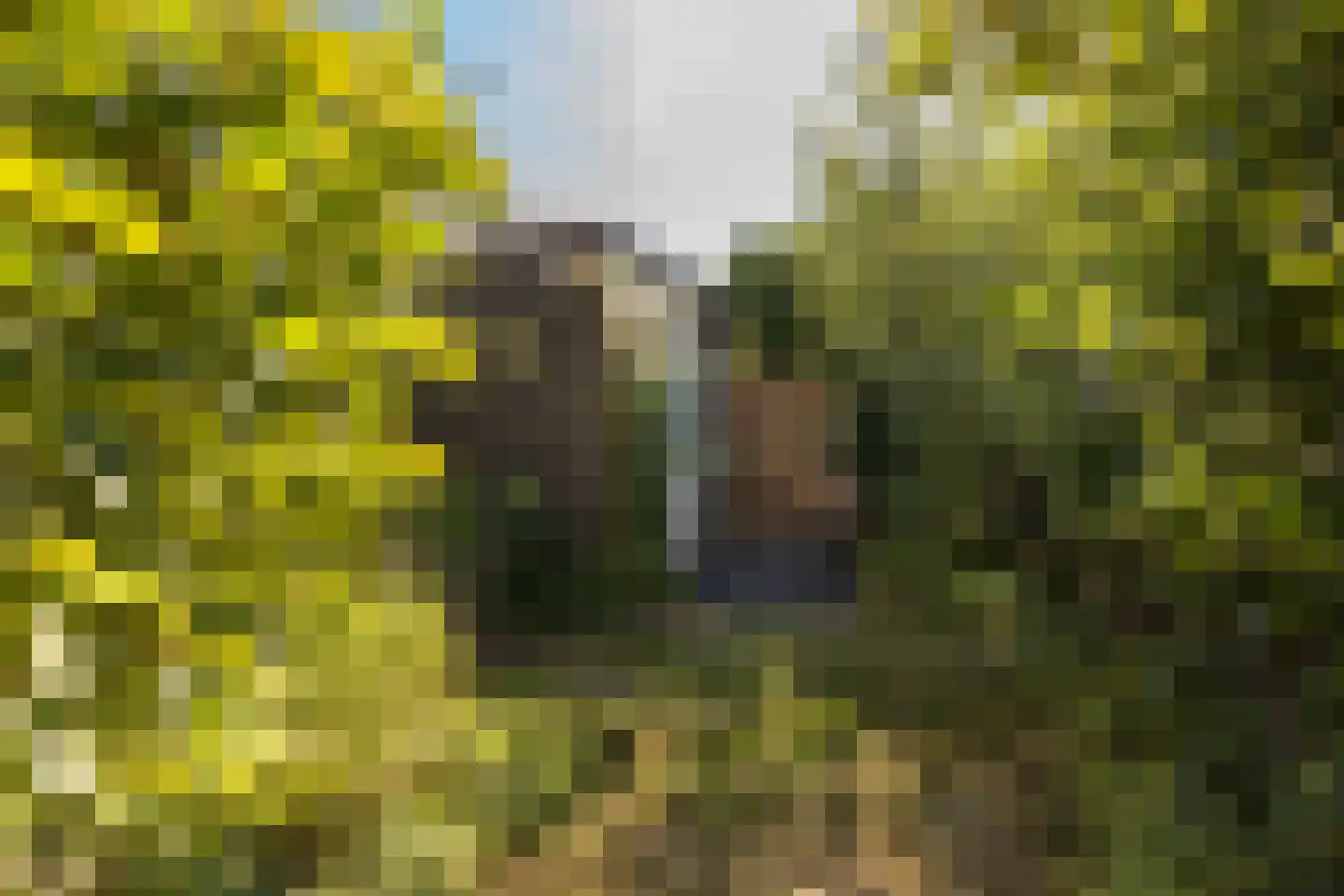 Van de Weerdstraat 120 Wageningen thumbnail 32
