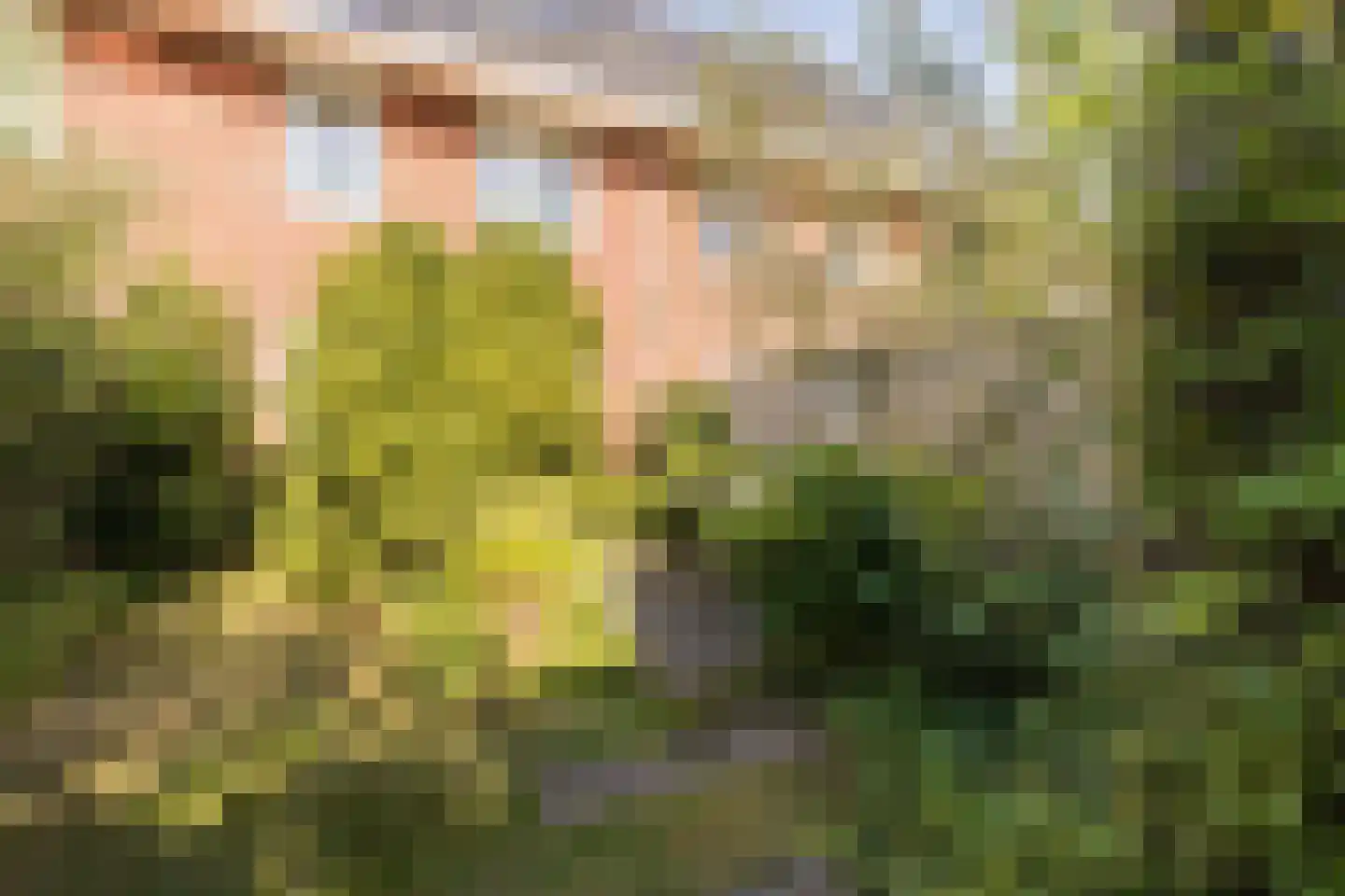 Van de Weerdstraat 120 Wageningen thumbnail 33