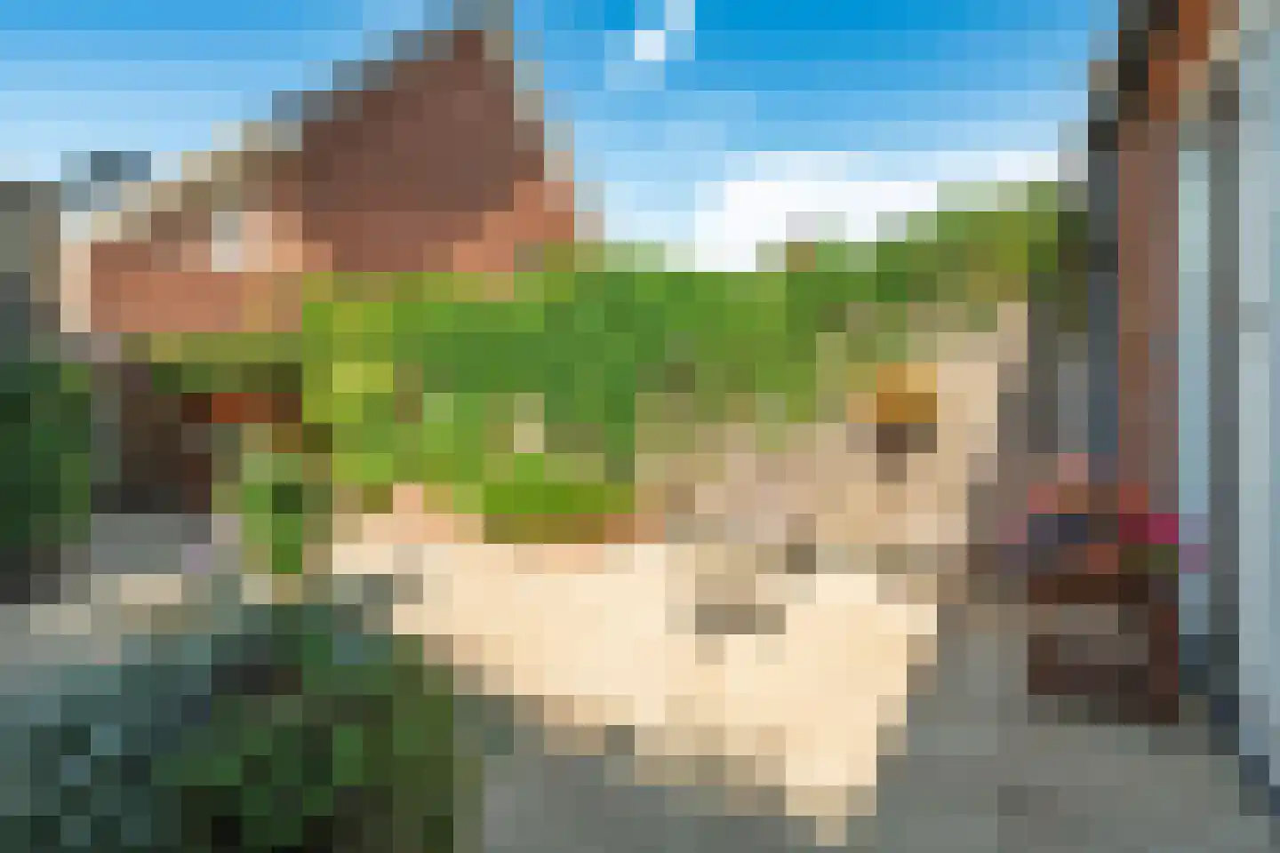 Van de Weerdstraat 48 Wageningen thumbnail 26