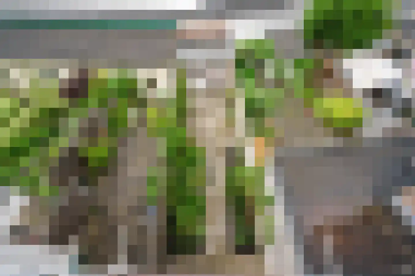 van de Wervestraat 31 Voorburg thumbnail 13