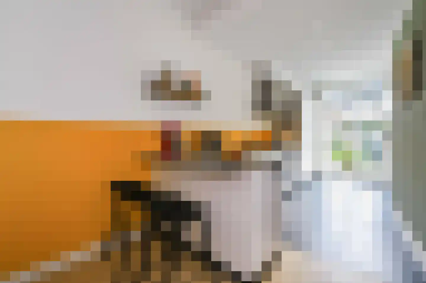 van de Wervestraat 33 Voorburg thumbnail 20