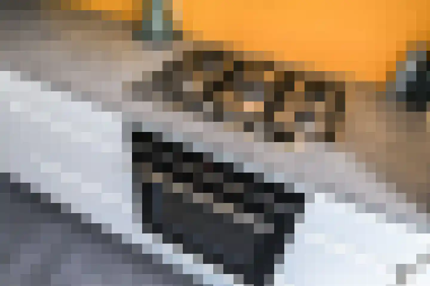 van de Wervestraat 33 Voorburg thumbnail 23