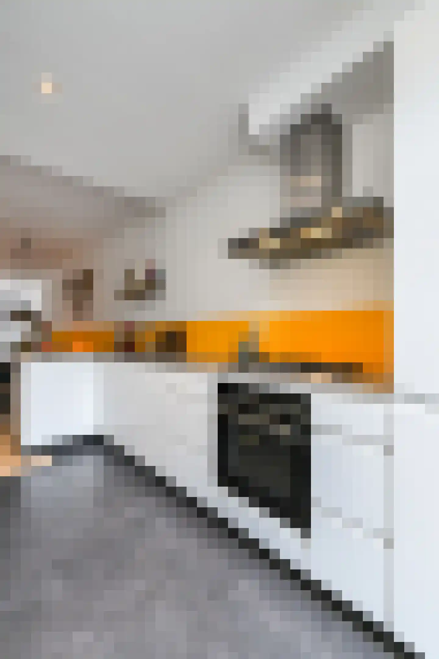 van de Wervestraat 33 Voorburg thumbnail 24