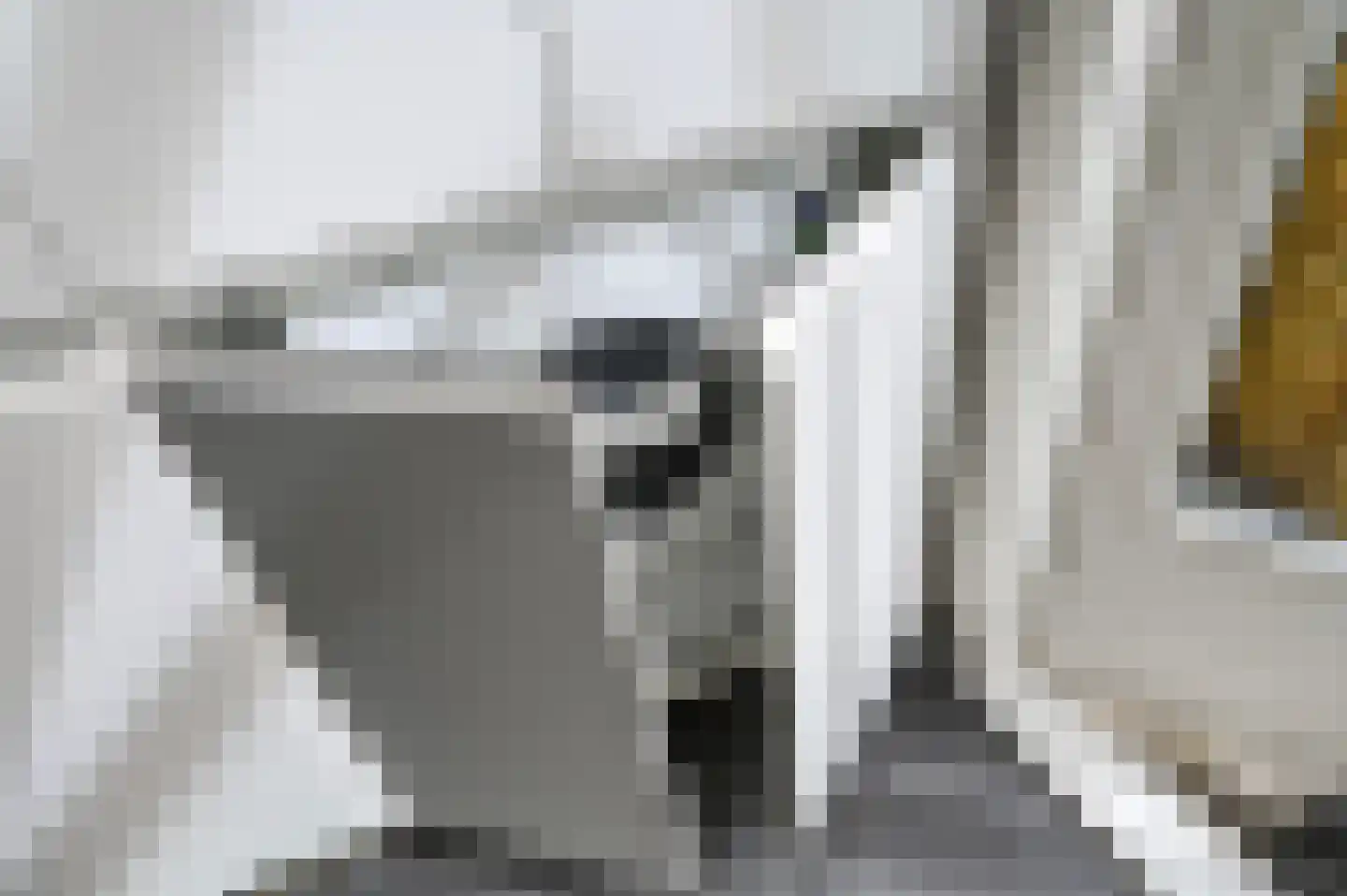 van de Wervestraat 33 Voorburg thumbnail 26