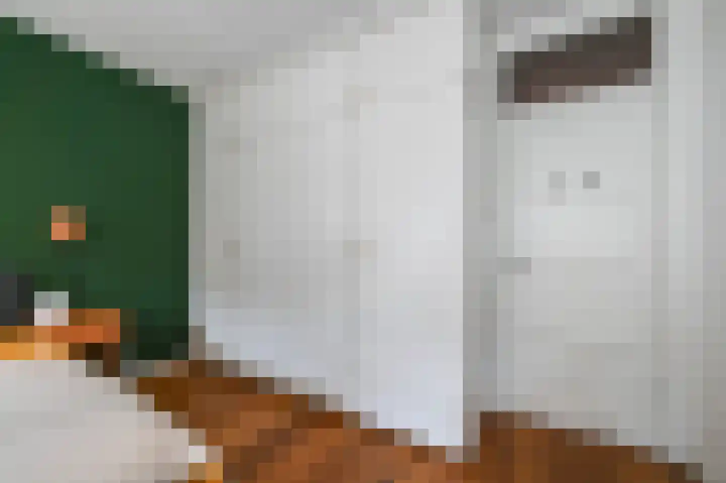 van de Wervestraat 33 Voorburg thumbnail 34