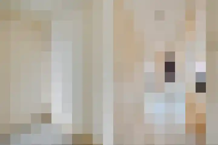 van de Wervestraat 35 Voorburg thumbnail 9