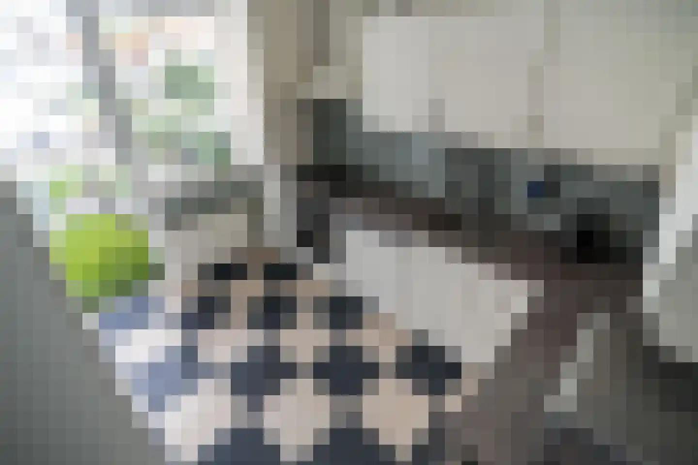 van de Wervestraat 53 Voorburg thumbnail 22