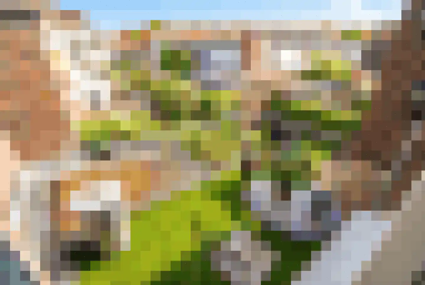 van de Wervestraat 53 Voorburg thumbnail 25
