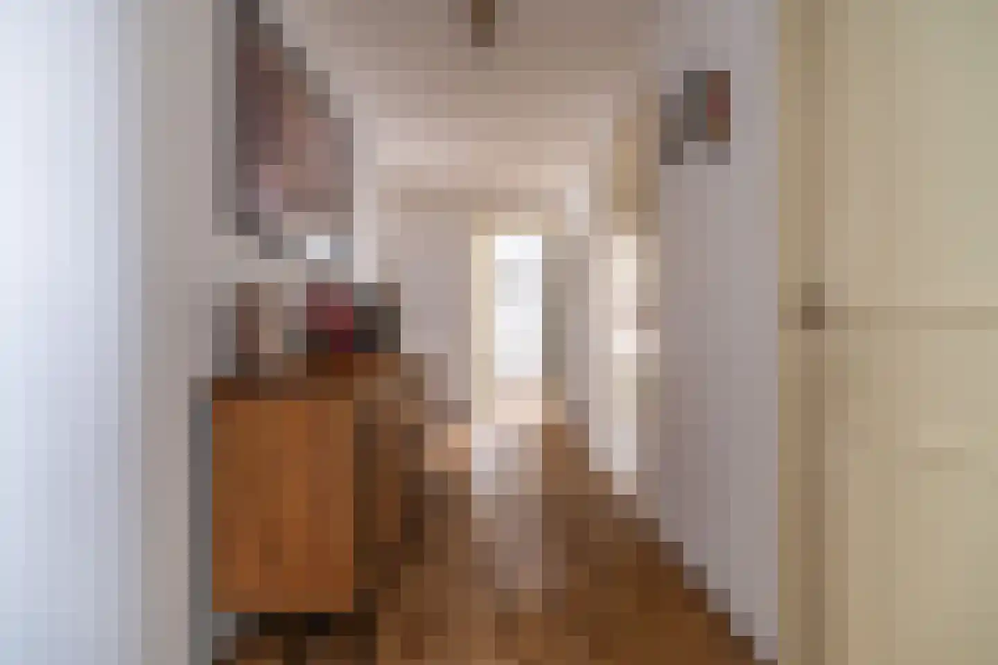 van de Wervestraat 53 Voorburg thumbnail 30