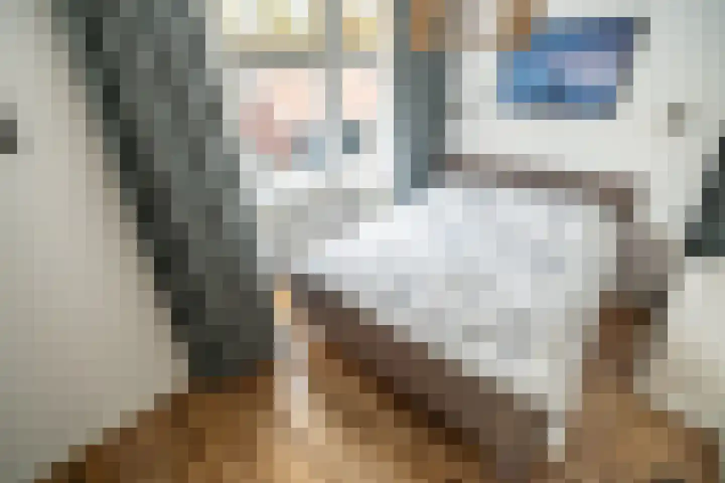 van de Wervestraat 53 Voorburg thumbnail 31