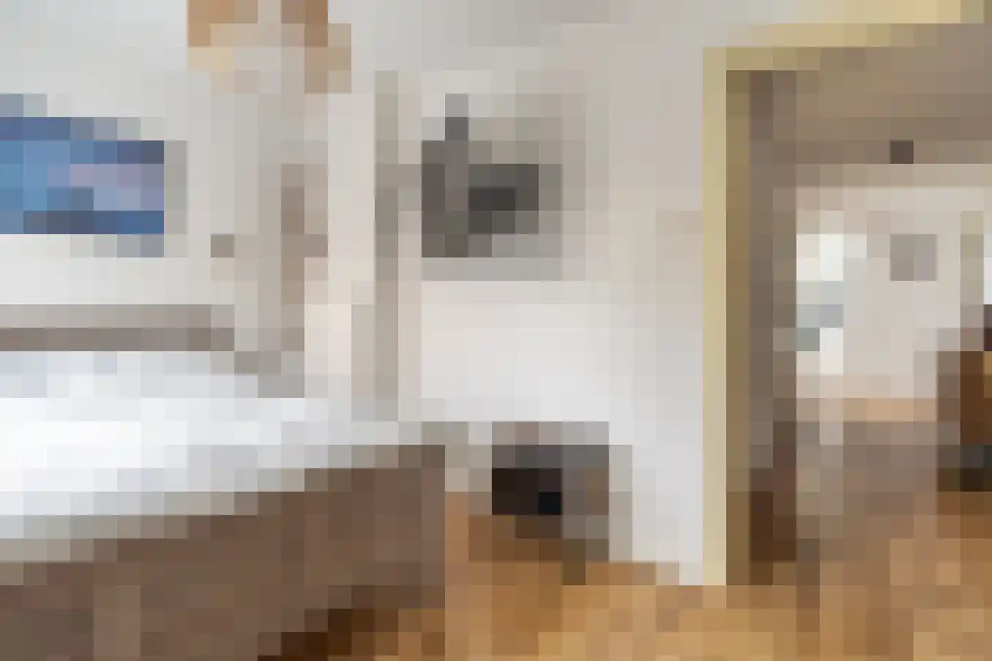 van de Wervestraat 53 Voorburg thumbnail 33