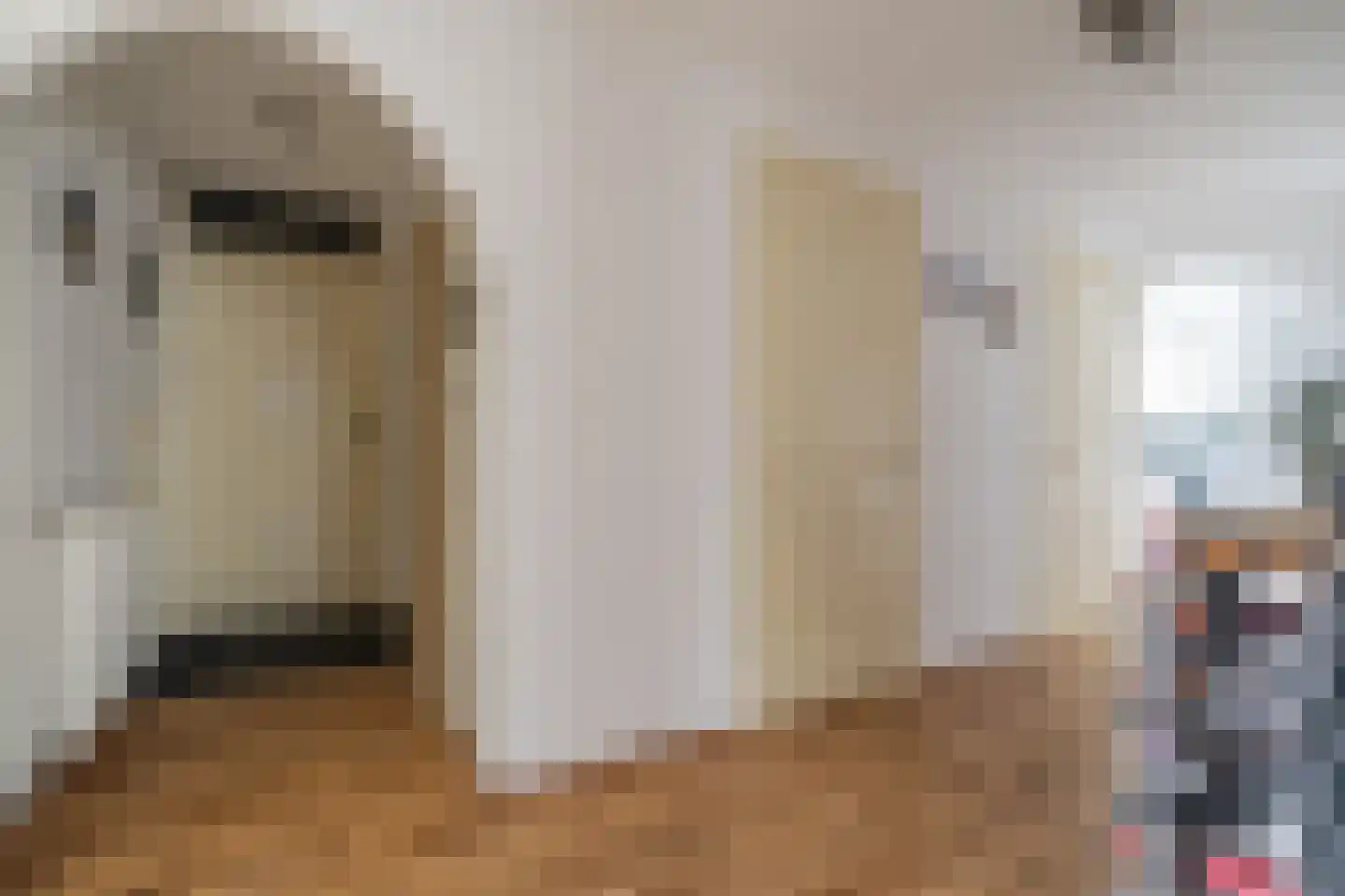 van de Wervestraat 53 Voorburg thumbnail 34