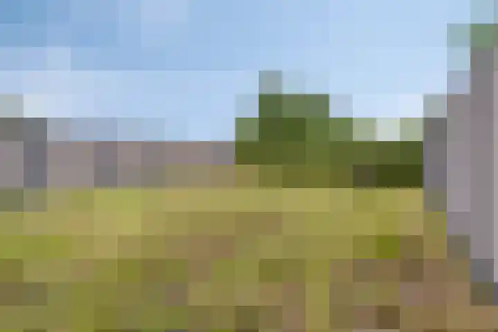 Van de Wetering-erf 34 Heesch thumbnail 29