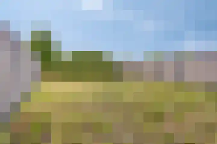 Van de Wetering-erf 34 Heesch thumbnail 32
