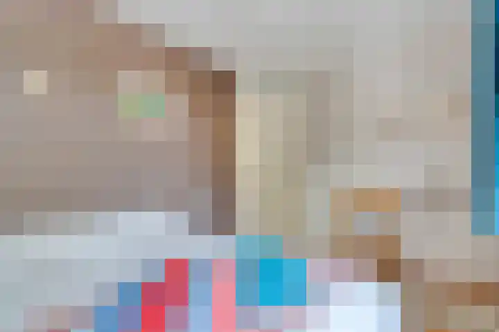 Logo Van de Wiel Makelaars