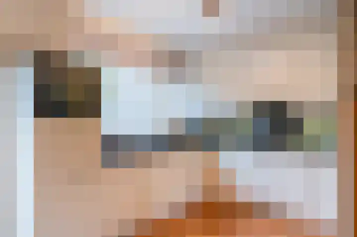 Van de Woestijneheem 25 Hillegom thumbnail 12