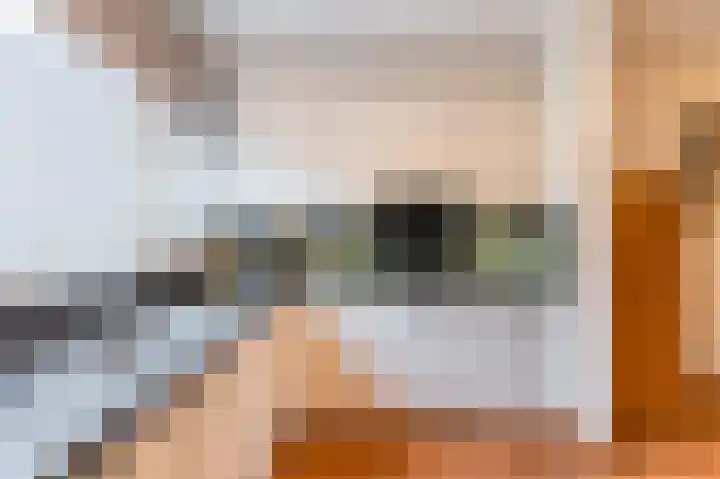 Van de Woestijneheem 25 Hillegom thumbnail 14